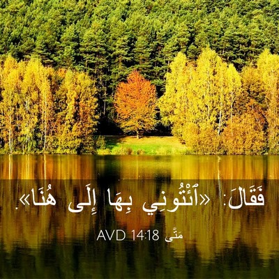 Picture 03 - مَتَّى 14:18 AVD - فَقَالَ: «ٱئْتُونِي بِهَا - Bible Verse Picture
