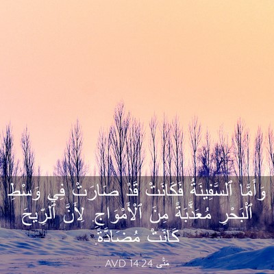 Picture 03 - مَتَّى 14:24 AVD - وَأَمَّا ٱلسَّفِينَةُ - Bible Verse Picture