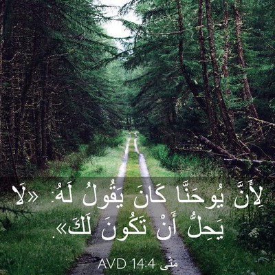 Picture 03 - مَتَّى 14:4 AVD - لِأَنَّ يُوحَنَّا كَانَ - Bible Verse Picture