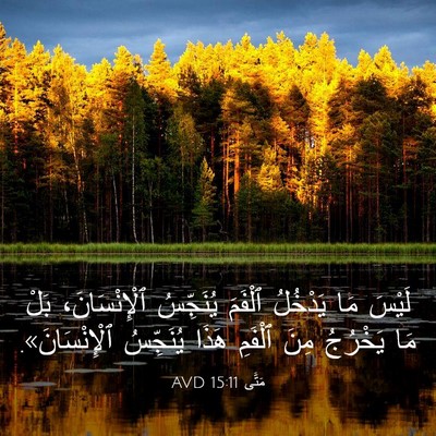Picture 03 - مَتَّى 15:11 AVD - لَيْسَ مَا يَدْخُلُ - Bible Verse Picture