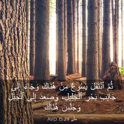 Picture 03 - مَتَّى 15:29 AVD - ثُمَّ ٱنْتَقَلَ يَسُوعُ - Bible Verse Picture