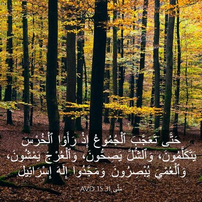 Picture 03 - مَتَّى 15:31 AVD - حَتَّى تَعَجَّبَ - Bible Verse Picture