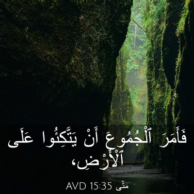 Picture 03 - مَتَّى 15:35 AVD - فَأَمَرَ ٱلْجُمُوعَ أَنْ - Bible Verse Picture