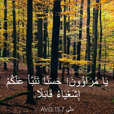 Picture 03 - مَتَّى 15:7 AVD - يَا مُرَاؤُونَ! حَسَنًا - Bible Verse Picture
