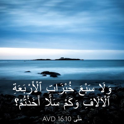 Picture 03 - مَتَّى 16:10 AVD - وَلَا سَبْعَ خُبْزَاتِ - Bible Verse Picture