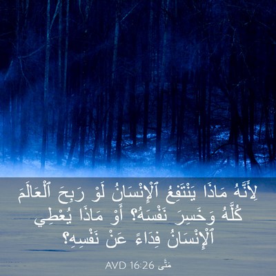 Picture 03 - مَتَّى 16:26 AVD - لِأَنَّهُ مَاذَا - Bible Verse Picture