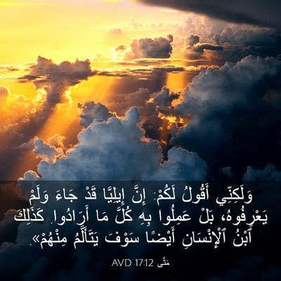Picture 03 - مَتَّى 17:12 AVD - وَلَكِنِّي أَقُولُ لَكُمْ: - Bible Verse Picture