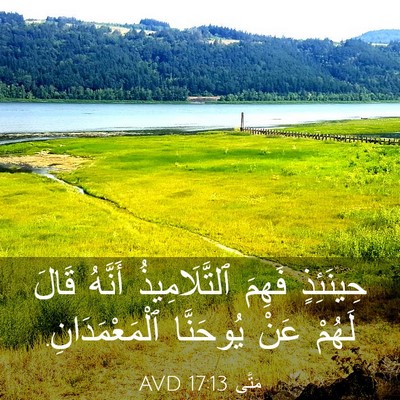 Picture 03 - مَتَّى 17:13 AVD - حِينَئِذٍ فَهِمَ - Bible Verse Picture