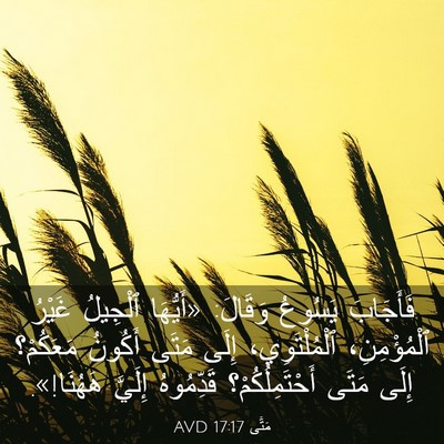 Picture 03 - مَتَّى 17:17 AVD - فَأَجَابَ يَسُوعُ وَقَالَ: - Bible Verse Picture