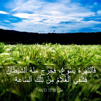 Picture 03 - مَتَّى 17:18 AVD - فَٱنْتَهَرَهُ يَسُوعُ، - Bible Verse Picture