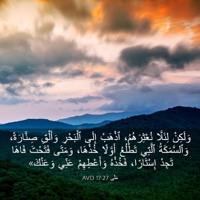 Picture 03 - مَتَّى 17:27 AVD - وَلَكِنْ لِئَلَّا - Bible Verse Picture
