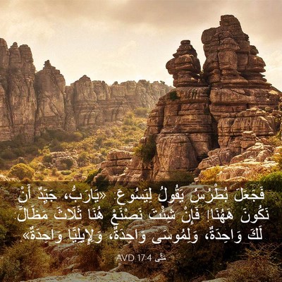 Picture 03 - مَتَّى 17:4 AVD - فَجَعَلَ بُطْرُسُ يَقُولُ - Bible Verse Picture