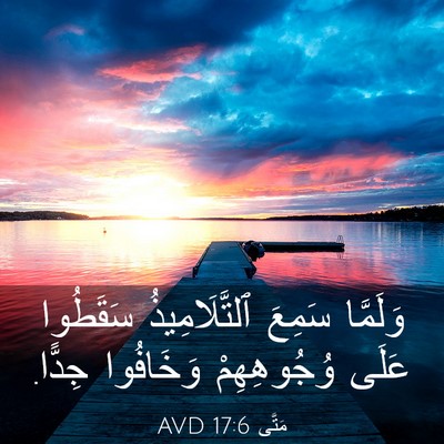 Picture 03 - مَتَّى 17:6 AVD - وَلَمَّا سَمِعَ - Bible Verse Picture