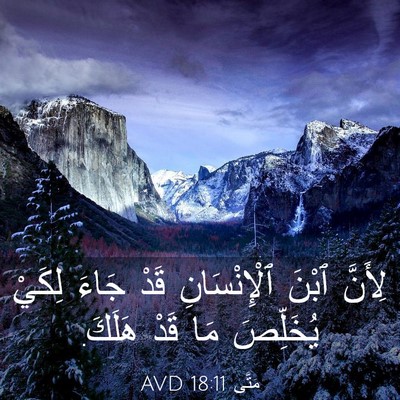 Picture 03 - مَتَّى 18:11 AVD - لِأَنَّ ٱبْنَ - Bible Verse Picture