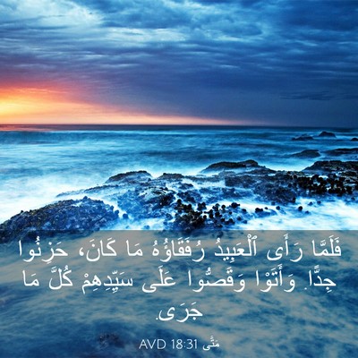 Picture 03 - مَتَّى 18:31 AVD - فَلَمَّا رَأَى ٱلْعَبِيدُ - Bible Verse Picture
