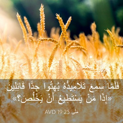 Picture 03 - مَتَّى 19:25 AVD - فَلَمَّا سَمِعَ - Bible Verse Picture