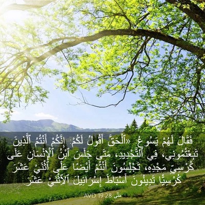 Picture 03 - مَتَّى 19:28 AVD - فَقَالَ لَهُمْ يَسُوعُ: - Bible Verse Picture