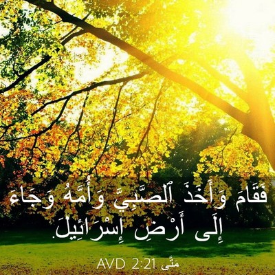 Picture 03 - مَتَّى 2:21 AVD - فَقَامَ وَأَخَذَ - Bible Verse Picture