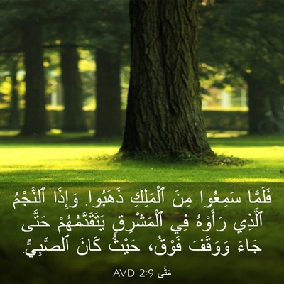 Picture 03 - مَتَّى 2:9 AVD - فَلَمَّا سَمِعُوا مِنَ - Bible Verse Picture