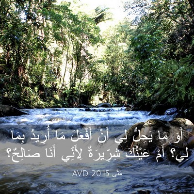 Picture 03 - مَتَّى 20:15 AVD - أَوَ مَا يَحِلُّ لِي أَنْ - Bible Verse Picture