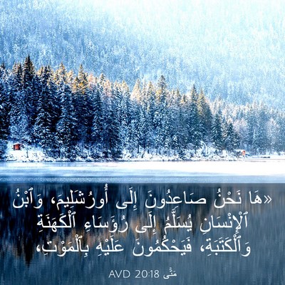 Picture 03 - مَتَّى 20:18 AVD - «هَا نَحْنُ صَاعِدُونَ - Bible Verse Picture