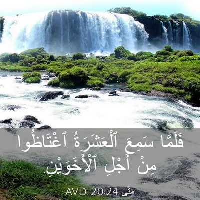 Picture 03 - مَتَّى 20:24 AVD - فَلَمَّا سَمِعَ - Bible Verse Picture