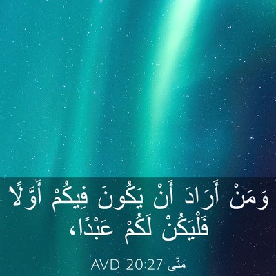 Picture 03 - مَتَّى 20:27 AVD - وَمَنْ أَرَادَ أَنْ - Bible Verse Picture