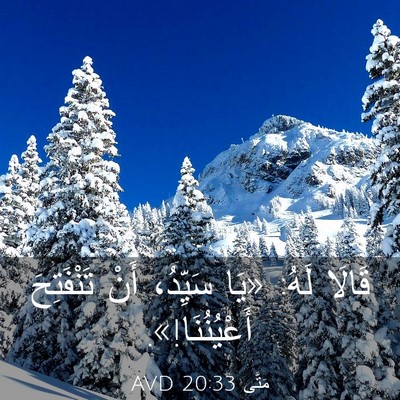 Picture 03 - مَتَّى 20:33 AVD - قَالَا لَهُ: «يَا سَيِّدُ، - Bible Verse Picture