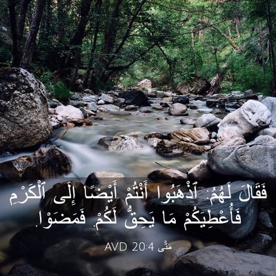 Picture 03 - مَتَّى 20:4 AVD - فَقَالَ لَهُمُ: ٱذْهَبُوا - Bible Verse Picture