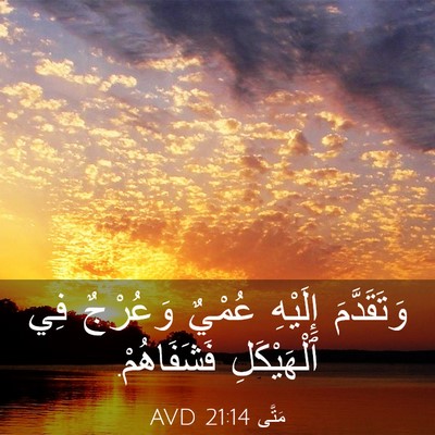Picture 03 - مَتَّى 21:14 AVD - وَتَقَدَّمَ إِلَيْهِ - Bible Verse Picture