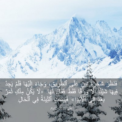 Picture 03 - مَتَّى 21:19 AVD - فَنَظَرَ شَجَرَةَ تِينٍ - Bible Verse Picture