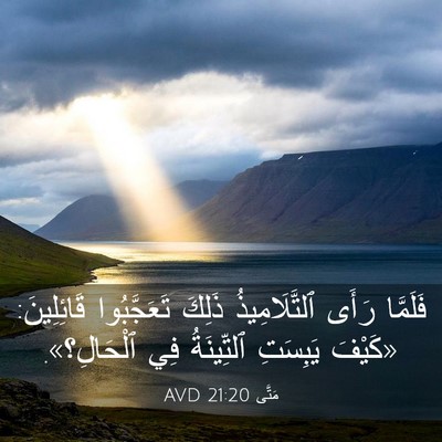 Picture 03 - مَتَّى 21:20 AVD - فَلَمَّا رَأَى - Bible Verse Picture