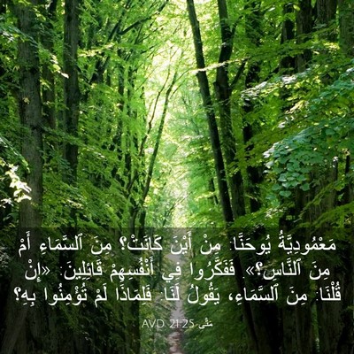 Picture 03 - مَتَّى 21:25 AVD - مَعْمُودِيَّةُ يُوحَنَّا: - Bible Verse Picture