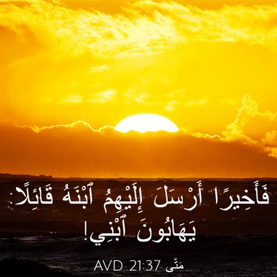 Picture 03 - مَتَّى 21:37 AVD - فَأَخِيرًا أَرْسَلَ - Bible Verse Picture