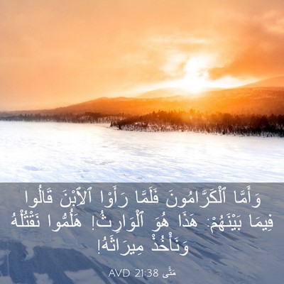 Picture 03 - مَتَّى 21:38 AVD - وَأَمَّا ٱلْكَرَّامُونَ - Bible Verse Picture