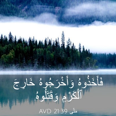 Picture 03 - مَتَّى 21:39 AVD - فَأَخَذُوهُ وَأَخْرَجُوهُ - Bible Verse Picture