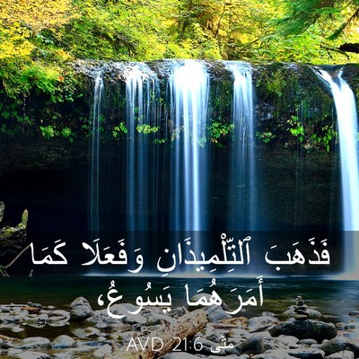 Picture 03 - مَتَّى 21:6 AVD - فَذَهَبَ ٱلتِّلْمِيذَانِ - Bible Verse Picture