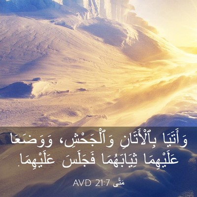 Picture 03 - مَتَّى 21:7 AVD - وَأَتَيَا بِٱلْأَتَانِ - Bible Verse Picture
