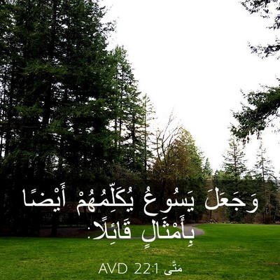 Picture 03 - مَتَّى 22:1 AVD - وَجَعَلَ يَسُوعُ - Bible Verse Picture