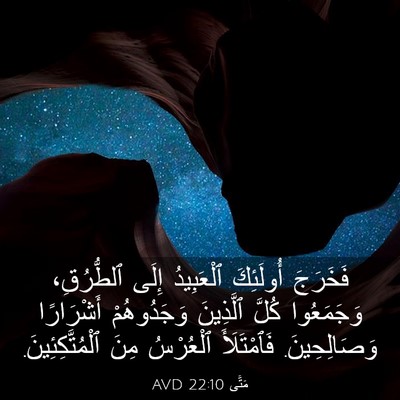 Picture 03 - مَتَّى 22:10 AVD - فَخَرَجَ أُولَئِكَ - Bible Verse Picture