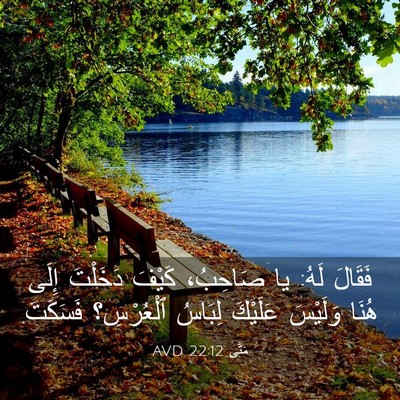 Picture 03 - مَتَّى 22:12 AVD - فَقَالَ لَهُ: يا صَاحِبُ، - Bible Verse Picture