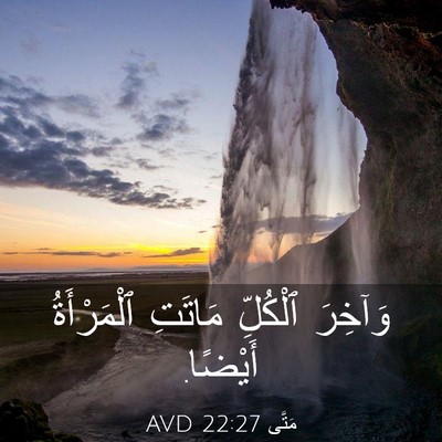 Picture 03 - مَتَّى 22:27 AVD - وَآخِرَ ٱلْكُلِّ مَاتَتِ - Bible Verse Picture