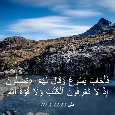 Picture 03 - مَتَّى 22:29 AVD - فَأَجَابَ يَسُوعُ وَقَالَ - Bible Verse Picture