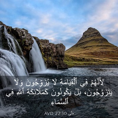 Picture 03 - مَتَّى 22:30 AVD - لِأَنَّهُمْ فِي - Bible Verse Picture