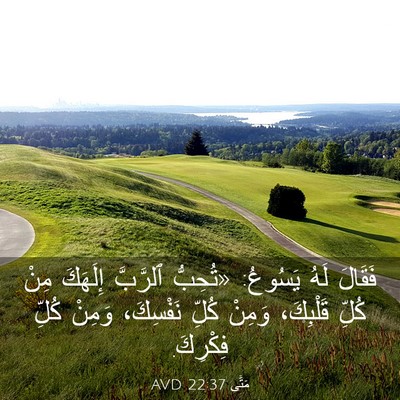 Picture 03 - مَتَّى 22:37 AVD - فَقَالَ لَهُ يَسُوعُ: - Bible Verse Picture