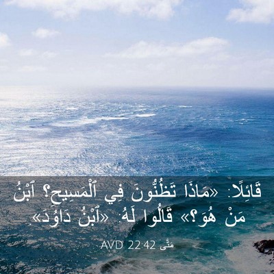Picture 03 - مَتَّى 22:42 AVD - قَائِلًا: «مَاذَا - Bible Verse Picture