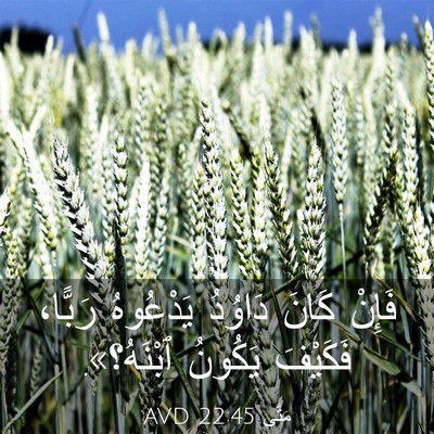 Picture 03 - مَتَّى 22:45 AVD - فَإِنْ كَانَ دَاوُدُ - Bible Verse Picture