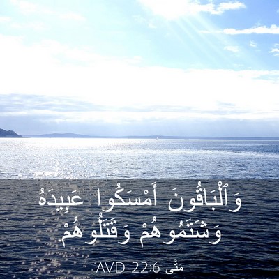 Picture 03 - مَتَّى 22:6 AVD - وَٱلْبَاقُونَ أَمْسَكُوا - Bible Verse Picture