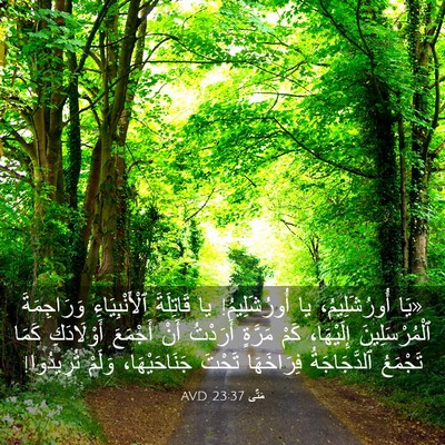 Picture 03 - مَتَّى 23:37 AVD - «يَا أُورُشَلِيمُ، يا - Bible Verse Picture