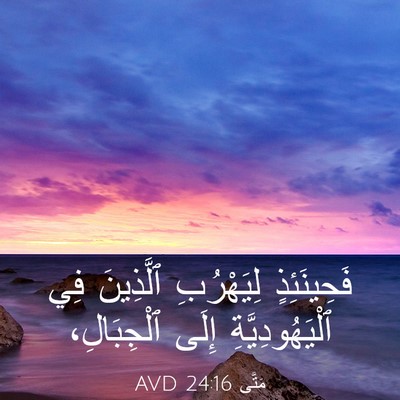 Picture 03 - مَتَّى 24:16 AVD - فَحِينَئِذٍ لِيَهْرُبِ - Bible Verse Picture